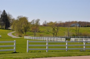 View of Horse Pastures and Meadows
